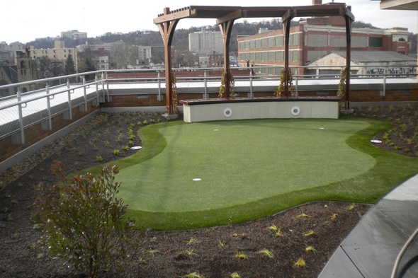 Pittsburgh backyard putting green grass